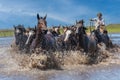Esquina, Corrientes, Argentina - October 29, 2022: Front view argentine gaucho herding wild horses to cross the river