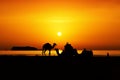 Essaouira beach