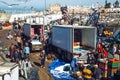 Essaouira local crowded fresh fish market in Harbor Scala and seagull, Morocco