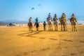 Several tourists ride horses and camels at the Moroccan seaside.