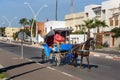 Moroccan Horse-drawn carriage in Essaouira. Morocco