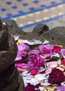 Rose petals & flowers float in a fountain basi