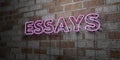 ESSAYS - Glowing Neon Sign on stonework wall - 3D rendered royalty free stock illustration