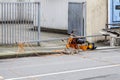 Essen , Germany - January 18 2018 : Temporary traffic lights overturned by the storm Friederike at the street crossing Royalty Free Stock Photo