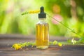 Essence of Agrimonia flowers on table in beautiful glass Bottle Royalty Free Stock Photo