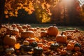 the essence of autumn with pumpkins as the central element. Ensure perfect lighting, no noise, and ultra-realistic clarity to