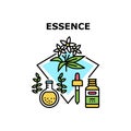 Essence Cosmetic Vector Concept Color Illustration