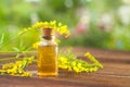 Essence of  flowers on table in beautiful glass Bottle Royalty Free Stock Photo