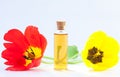 Essence of flowers on table in beautiful glass jar