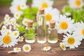 Essence of flowers on table in beautiful glass jar