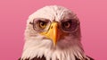 Generative AI, Cool Eagle: A Majestic Avian with Style Royalty Free Stock Photo