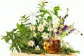 Essence with medical plants and fresh herbs Royalty Free Stock Photo