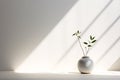 The essence of minimalism illuminated by natural light highlighting the power of simplicity and negative space