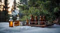 The Essence of Nature: Artistic Depiction of Juniper Essential Oil Extraction