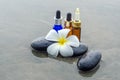 Essence oil, White frangipani and zen stone on water Royalty Free Stock Photo