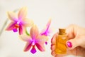 Essence of orchid flowers on table in beautiful glass Bottle Royalty Free Stock Photo