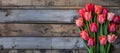 a vibrant bouquet of tulips against a rustic wooden background