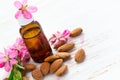 Essential almond oil, almonds and flowers. Top view with copy sp Royalty Free Stock Photo