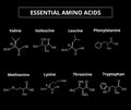Essential amino acids. A set of amino acids. Chemical molecular formulas of amino acids. Vector illustration on isolated