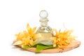 Essential aroma oil with champaka flower Royalty Free Stock Photo