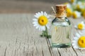 Essential camomile oil in glass bottle with fresh chamomile flowers, fragrant daisy oil, beauty treatment