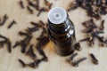 Essential clove oil Royalty Free Stock Photo