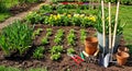 Essential Gardening Tools and Plants Ready for Springtime Planting and Cultivation Royalty Free Stock Photo