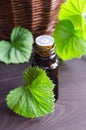 Essential geranium oil