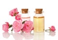 Essential herbal rose oil for aromatherapy bottled for SPA and fresh flowers isolated on white background Royalty Free Stock Photo