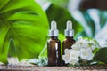 Essential Jasmine oil. Bioproduct, organic cosmetics. Royalty Free Stock Photo