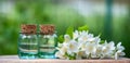 Essential Jasmine oil.  Bottles with Jasmine oil,  Fresh flowers and  leaves on a natural green background Royalty Free Stock Photo