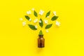 Essential jasmine oil for perfume arome or massage Royalty Free Stock Photo