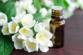 Essential jasmine oil Royalty Free Stock Photo