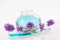 Essential lavender oil