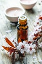 Essential massage oil with flower on rustic wooden background. Natural spa and wellness aromatherapy treatment still life