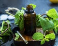 Essential mint oil in brown glass bottle with dropper, herbal me