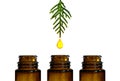 essential natural oil droplet dripping into small brown medicine bottle. essential oils concept. fragrance ingredient