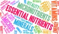 Essential Nutrients Word Cloud Royalty Free Stock Photo