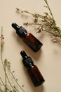 Essential oil amber glass dropper bottles with flowers on beige background. Aroma oil bottles top view Royalty Free Stock Photo