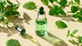 Essential oil. Botanical extract in dropper bottle with green leaves around. Concept of essence, natural skincare Royalty Free Stock Photo