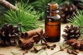 Essential oil bottle with cinnamon, star anise, clove, pine oils on wooden rustic background Royalty Free Stock Photo