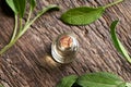 Essential oil bottle with fresh sage