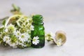 Herbal and aromatherapy essential oil with white flowers and med