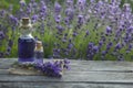 Essential oil bottle oil and lavender flowers field Royalty Free Stock Photo