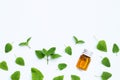 Essential oil bottle with melissa lemon balm fresh leaves on white Royalty Free Stock Photo