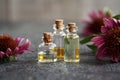 Essential oil bottles with echinacea flowers Royalty Free Stock Photo