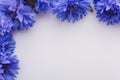 Essential oil of cornflower on a white background Royalty Free Stock Photo