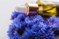 Essential oil of cornflower on a white background Royalty Free Stock Photo