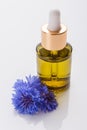 Essential oil of cornflower on a white background Royalty Free Stock Photo
