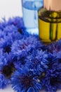 Essential oil of cornflower on a white background Royalty Free Stock Photo